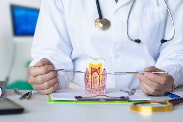 Best Emergency Root Canal Treatment in North Yelm, WA
